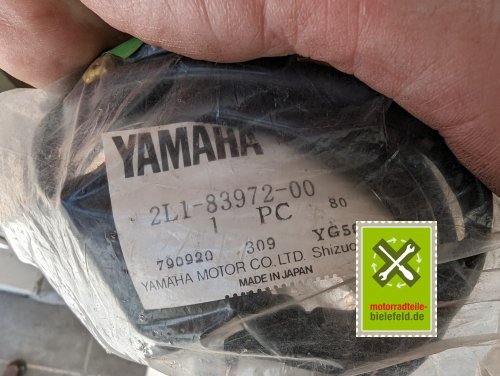 PXL_20240523_111933139